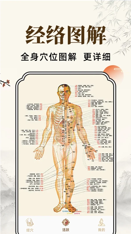 穴位经脉详解