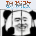 bvn魏晓改