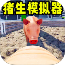 小猪模拟