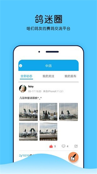 中鸽网 中鸽网