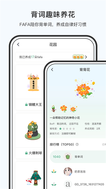 小词猫