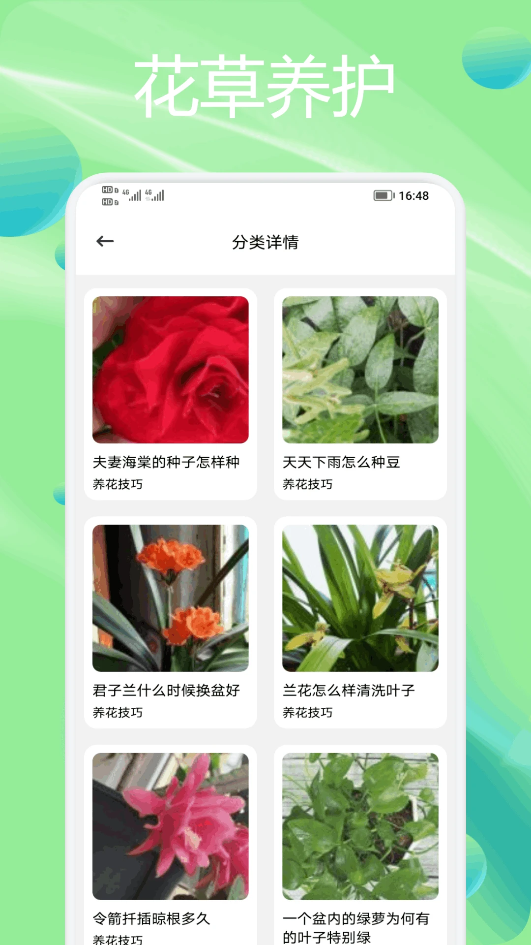 种花拾光 种花拾光