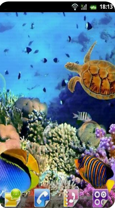 水族馆动态屏保 水族馆动态屏保