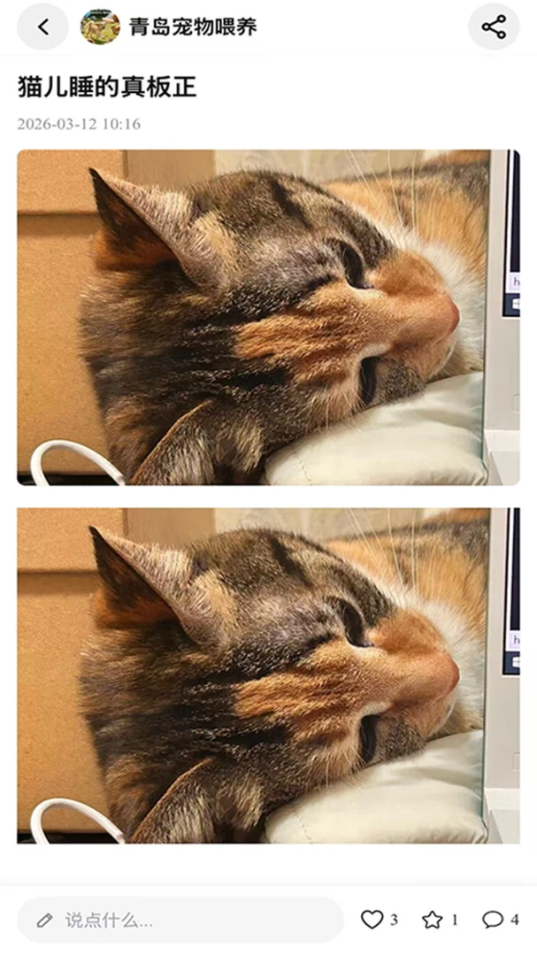 PetPandora宠物社区 PetPandora宠物社区