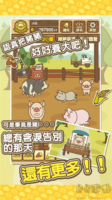 養豬場MIX安装器 養豬場MIX安装器