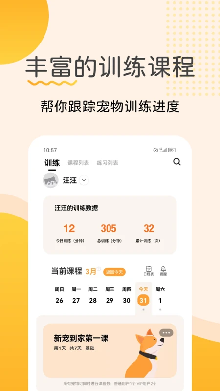 宠物记