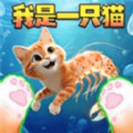 我是猫大作战