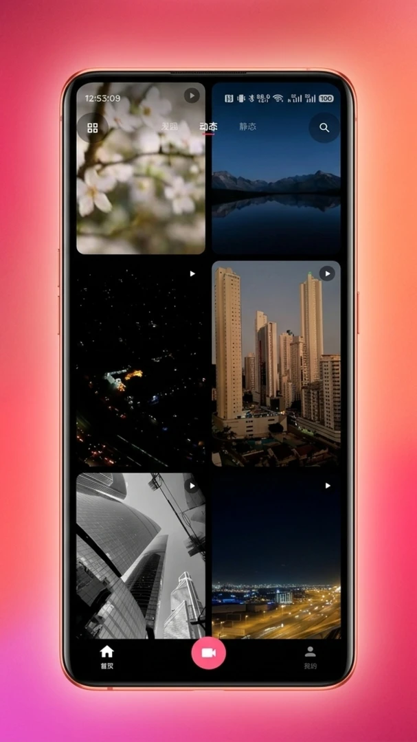 HONGTAO红桃