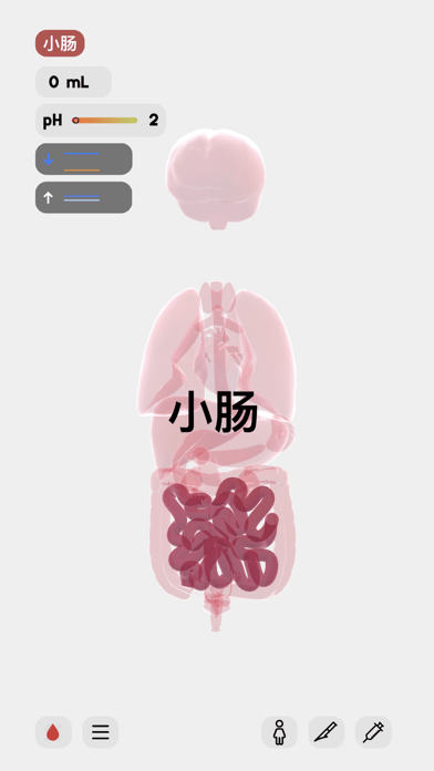 生命life安卓版中文