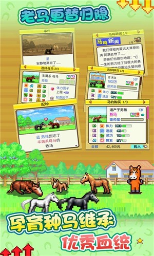 赛马牧场物语 赛马牧场物语