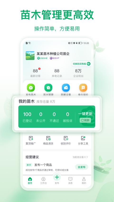 苗仓 苗仓