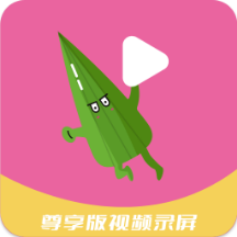 视频录制最新版