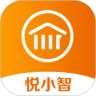 悦小智