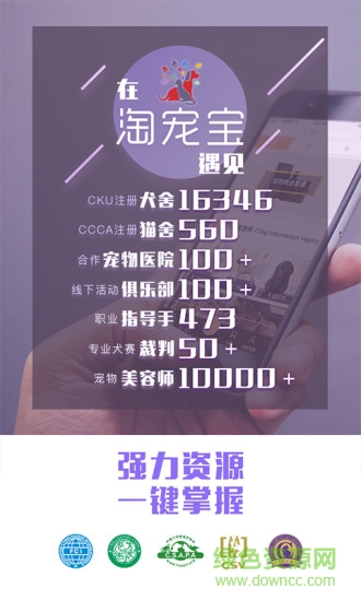 淘宠宝