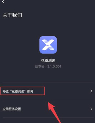 花瓣测速在线测速 花瓣测速在线测速