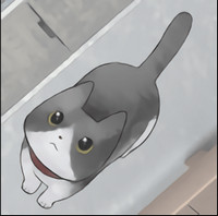 途猫
