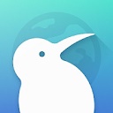 Kiwi浏览器 纯净版