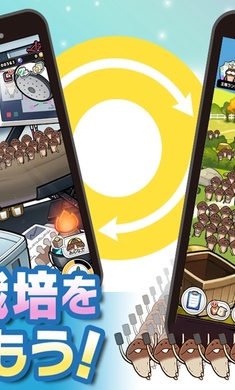 みんなのなめこ栽培キット みんなのなめこ栽培キット