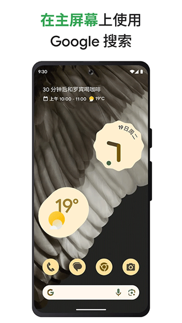 谷歌搜索 镜像入口2025