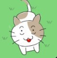 子猫はどこに行った？