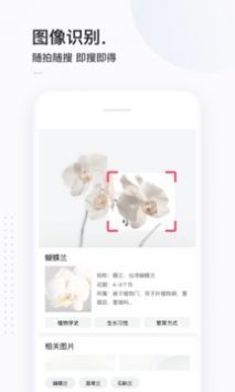 简单搜索 简单搜索