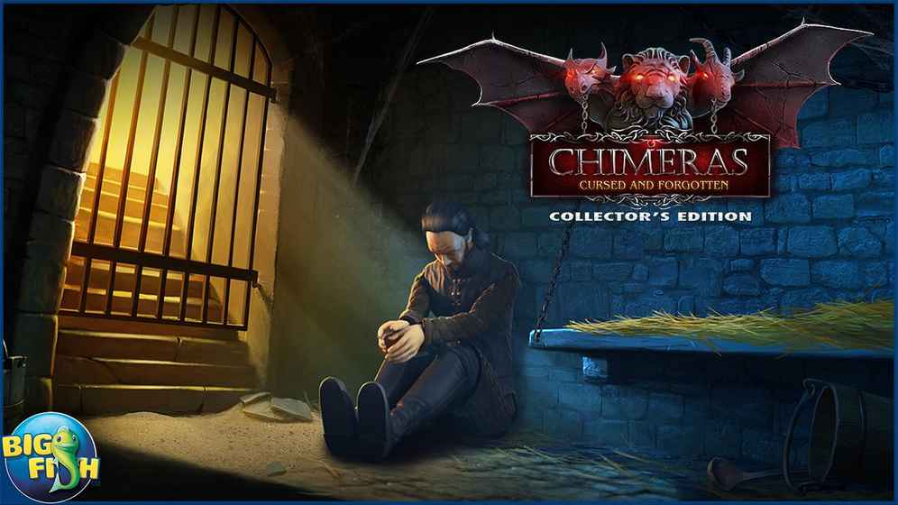 被遗忘的收藏家 被遗忘的收藏家