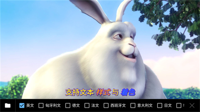 MX播放器专业版 MX播放器专业版