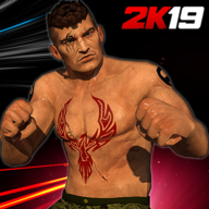 World Street Wrestling : Ultimate Combat Fights