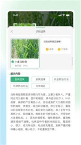 耘苗拍 耘苗拍