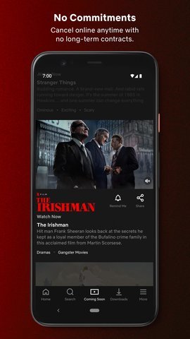奈飞netflix2024官网版 奈飞netflix2024官网版