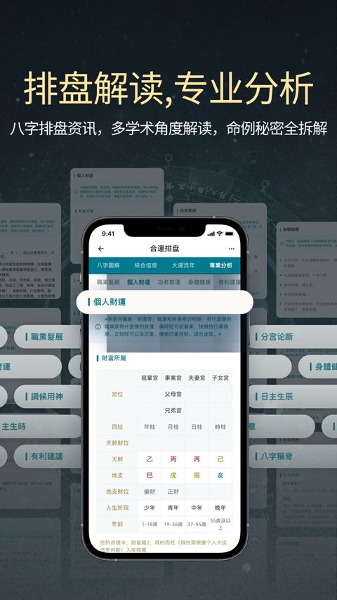 论玄(ai八字排盘软件) v2.9.0 安卓版 论玄(ai八字排盘软件) v2.9.0 安卓版