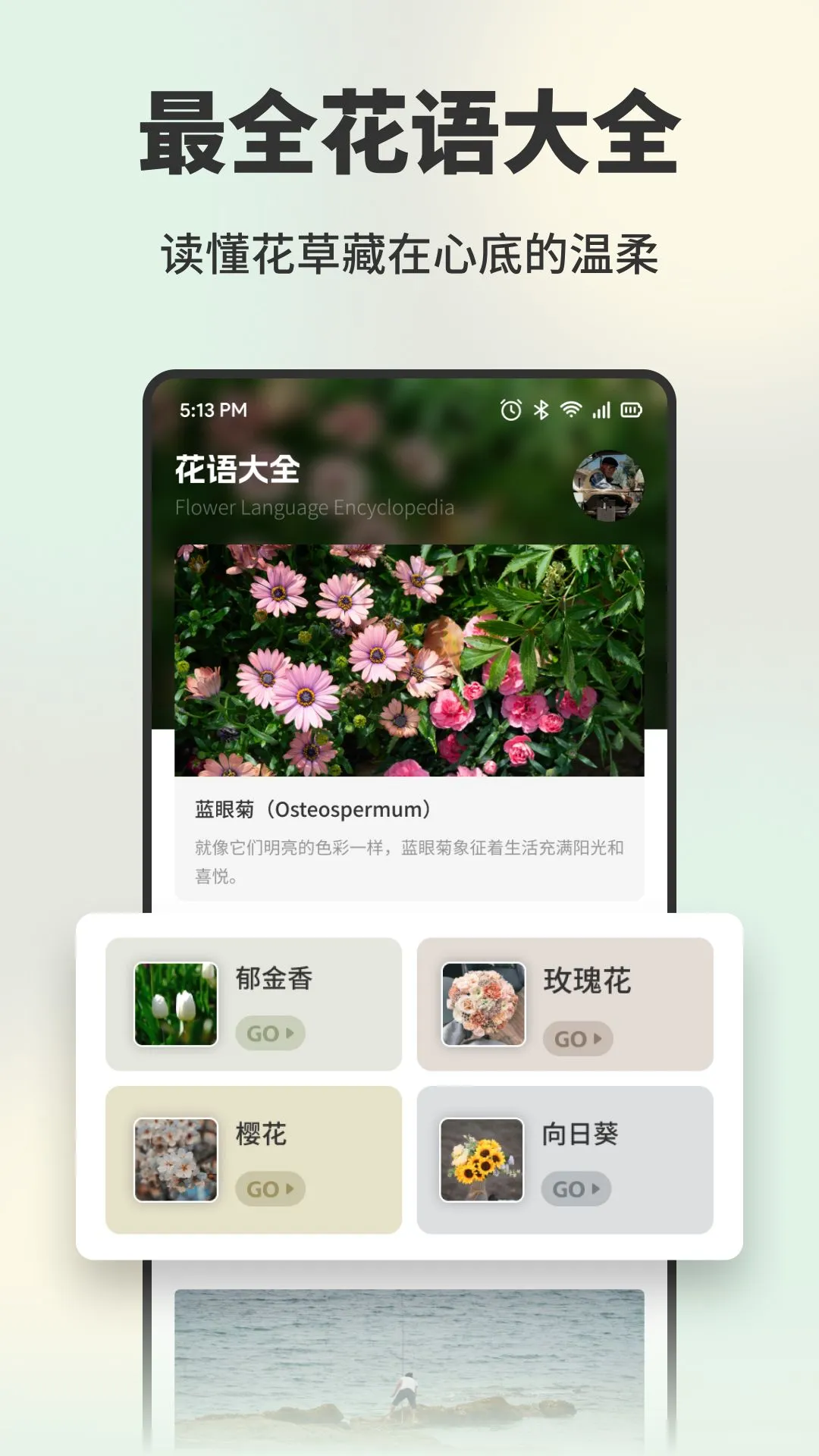 普惠花 普惠花