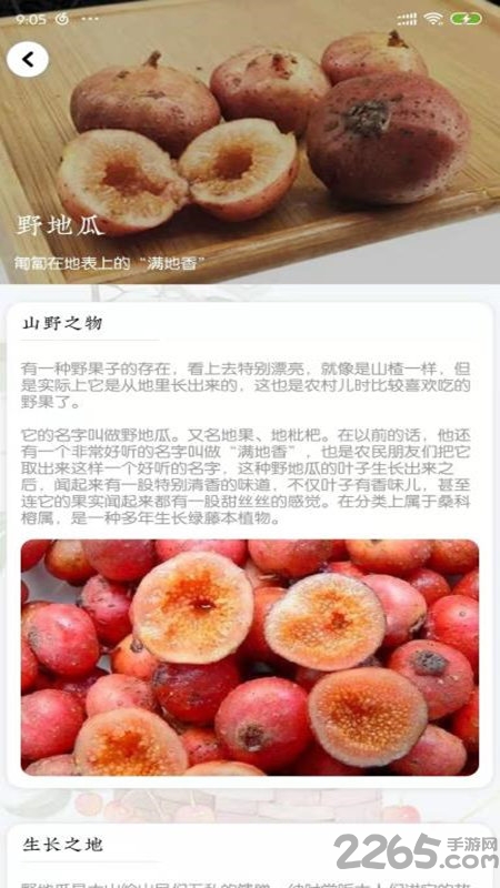 稻趣 稻趣