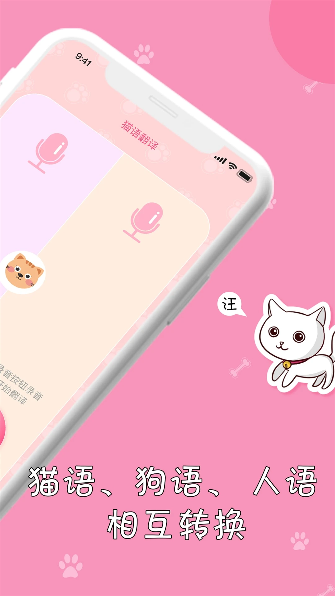 小猫 小猫