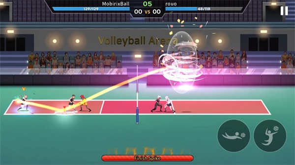 VolleyBall King安装器