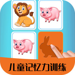 记忆力训练