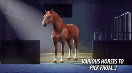 Rival Racing: Horse Contest