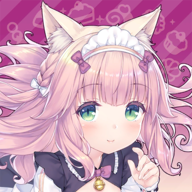 ネココネ安装器
