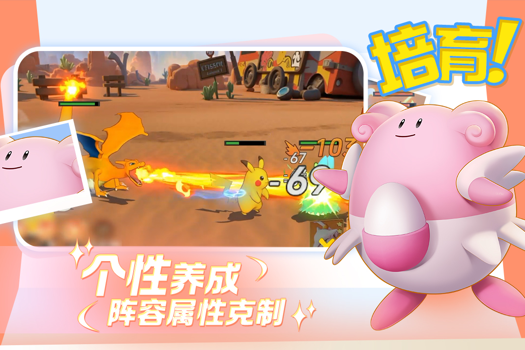 宠物集结