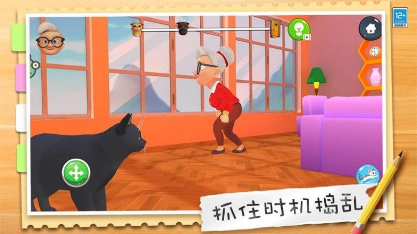 萌猫养成记