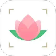 识花
