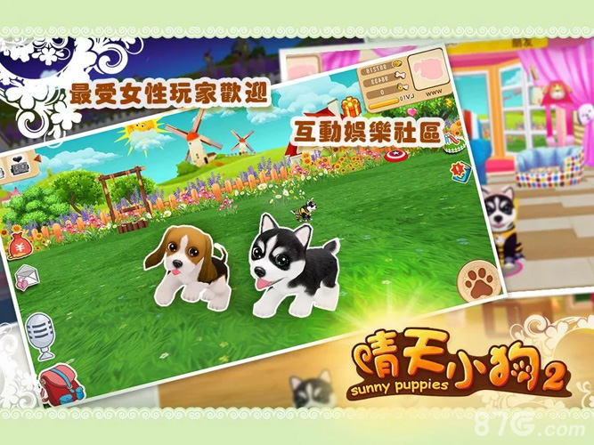 晴天小狗 晴天小狗