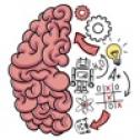 Brain Puzzle 3: Crazy Mind