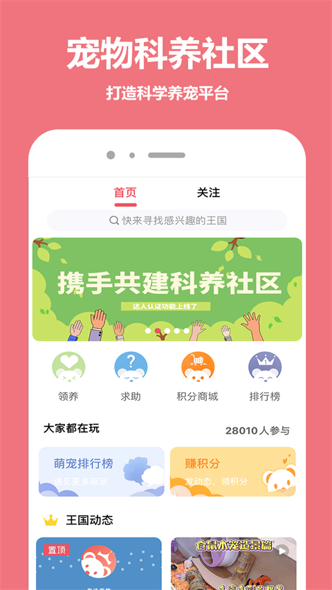 宠物王国1