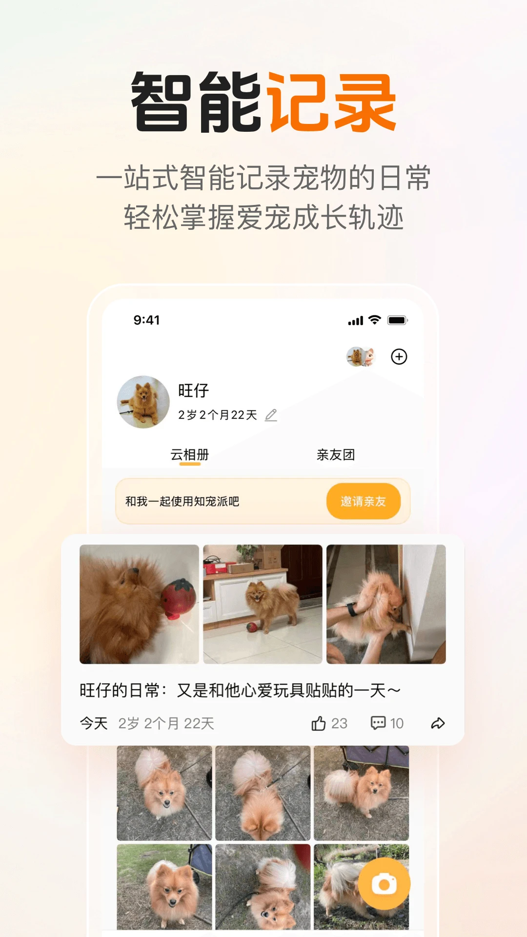 伴知宠 伴知宠