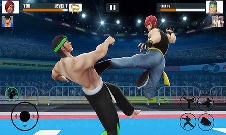 功夫大师(Karate Fighter)