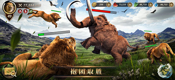 Beast Lord安装器 Beast Lord安装器
