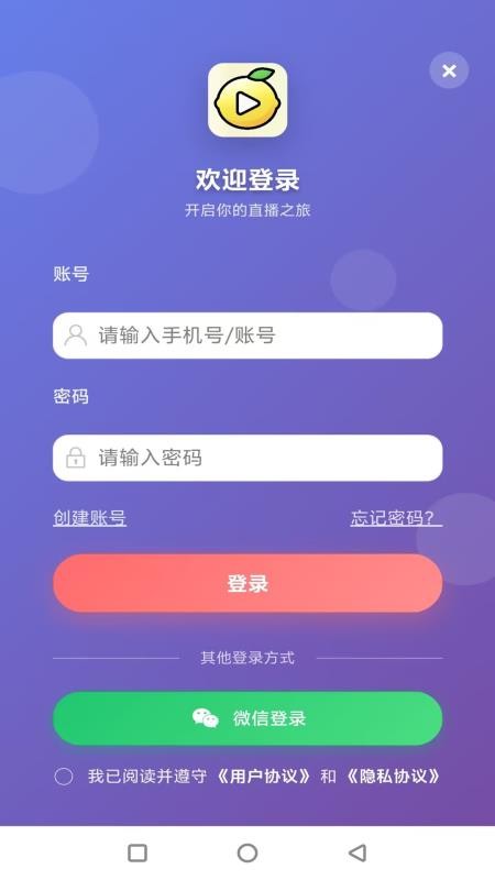 柠檬播