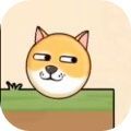 救救狗狗大作战