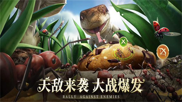 蚂蚁地下王国